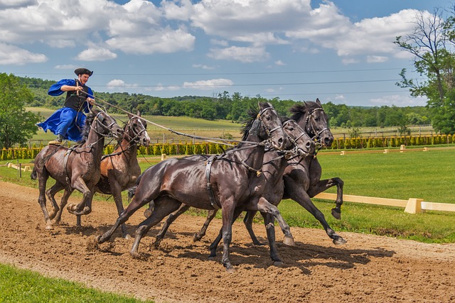 Horse racing